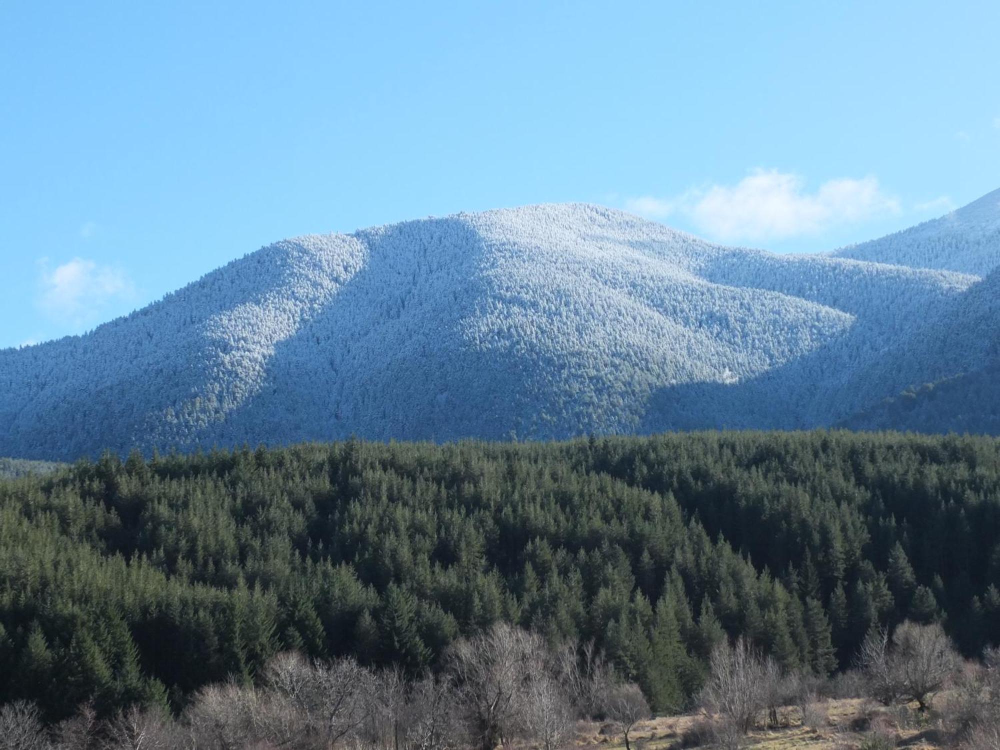 Pirin Heights A-21 Близо До Ски Пистата Bansko Buitenkant foto